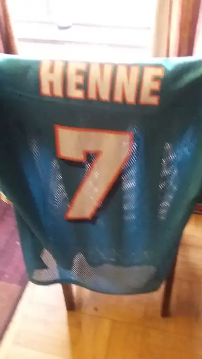 NFL Miami Dolphins large Jersey, View more