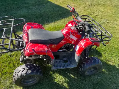 Tao Tao, 2021, 125cc ATV. Had the ATV working this summer hower kids haven’t been using it and now i...