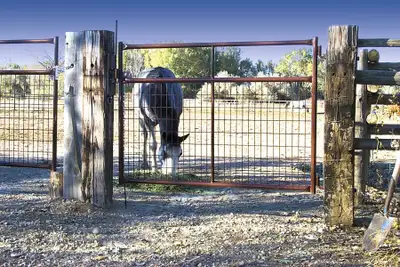 New HiQual Combo Gates on Sale! Up to $60.00 off HiQual Combo Gates. 4' Gates - Regular $274.00 SALE...