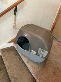 Self Cleanging litter box 