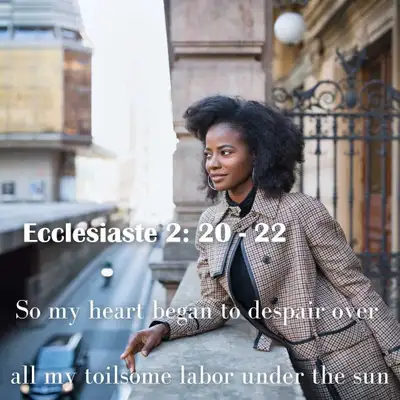 Bible Study, View more