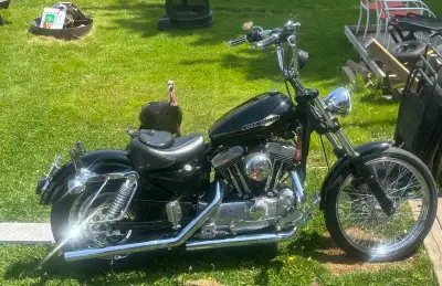 1998 Harley Davidson Sportster. Approx 6000 km on rebuilt 1200 evolution motor. Very fast well maint...