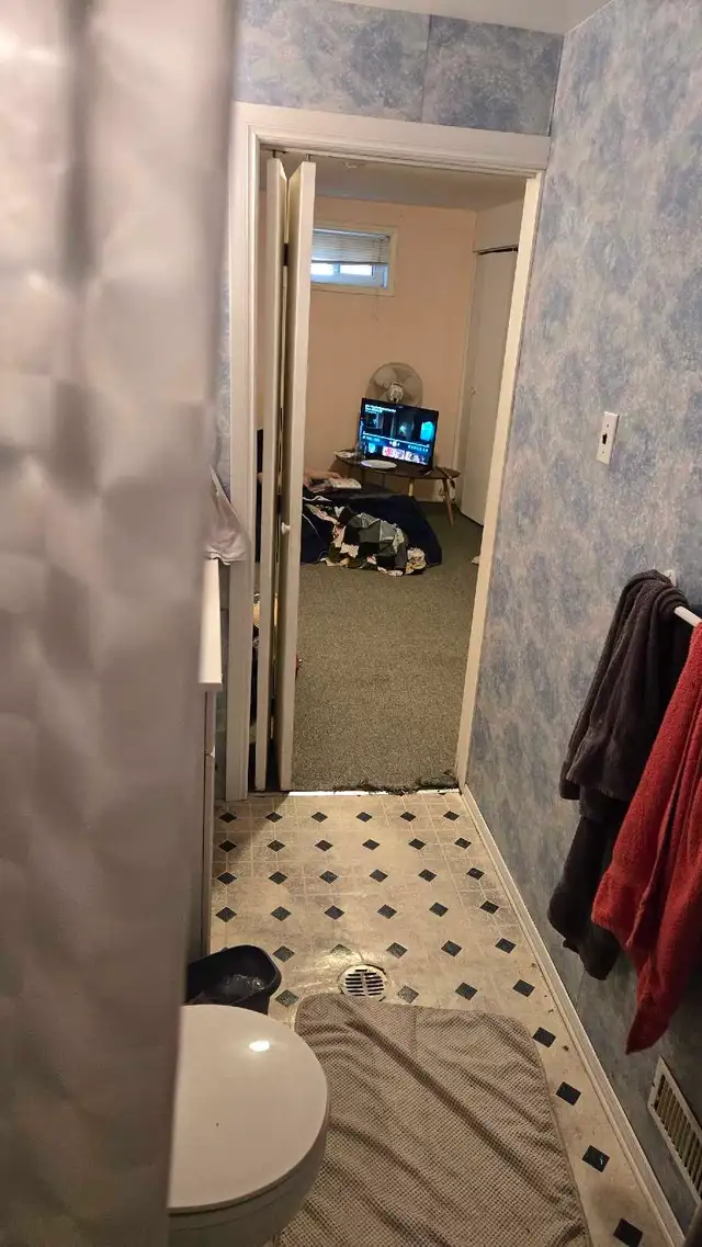 appartment for rent