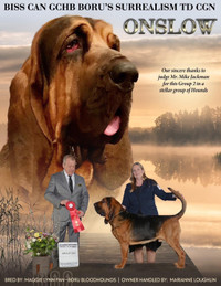 Boru Bloodhounds  CKC Reg  since 2006