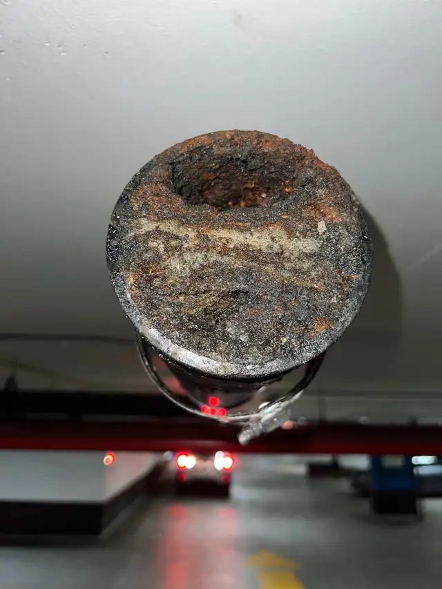service plumber431543295180154883