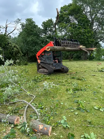 TREE REMOVAL, View more