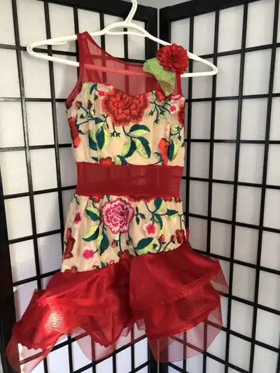 Red Flower Dance Costume, View more