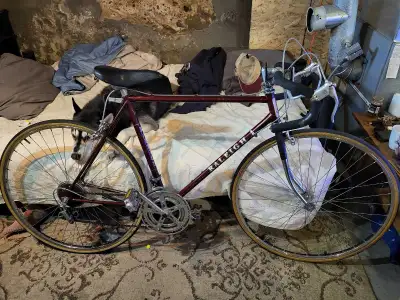 912 ads for raleigh in Buy & Sell in Canada | Kijiji Marketplaces