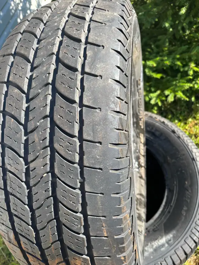 Eldorado LT265/70R17 Summer Tires in Tires & Rims in St. John's - Image 6