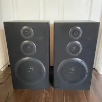 Speakers Gold Star FE-65E Wired Passive Speakers