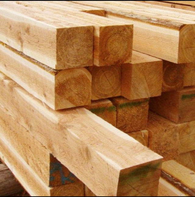 ROUGH SAWN CEDAR LUMBER | FULL DIMENSION | BOARDS, TIMBERS, BEAM in Other in Ottawa - Image 3
