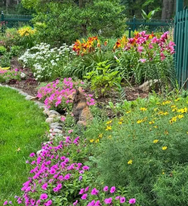 Experienced Gardener available
