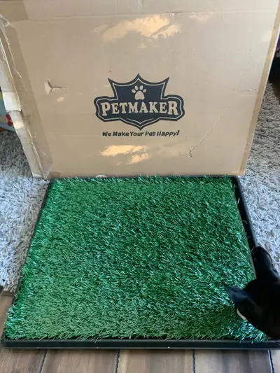 Dog grass, View more