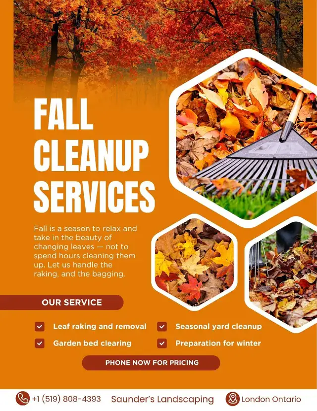 Yard Cleanups  / grass cutting/ more in Lawn, Tree Maintenance & Eavestrough in London - Image 2