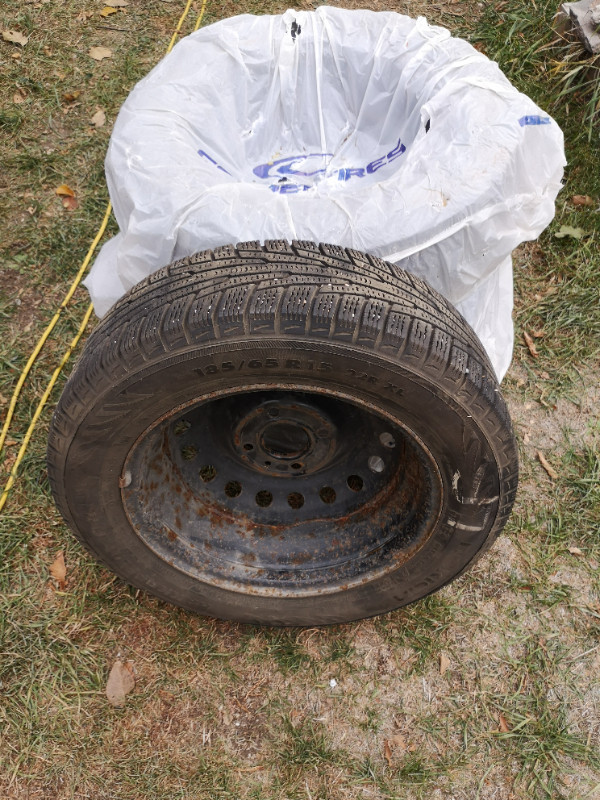 15" winter tires  - 18565R15 Nokian Hakka R in Tires & Rims in Saskatoon
