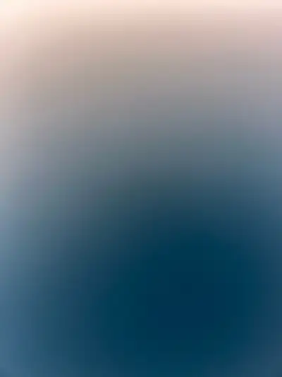 Looking for female kitten , View more