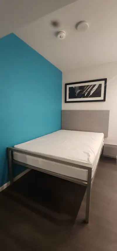 SINGLE FEMALE PREFERRED 1 bedroom available in 2 bedroom highrise apartment - 1,125 Monthly (everyth...