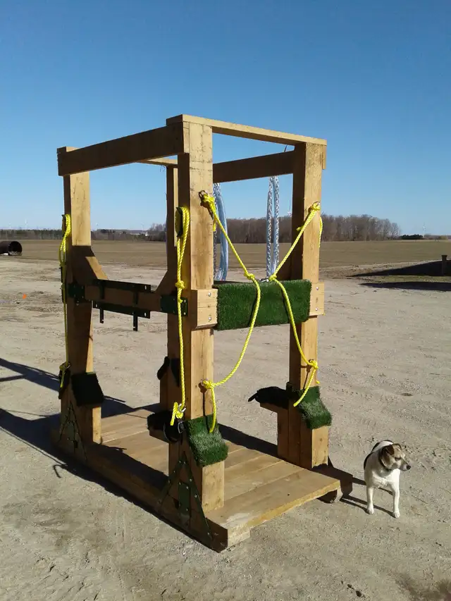 Horse shoeing  stocks in Horses & Ponies for Rehoming in Owen Sound - Image 10