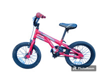 Schwinn Scorch bike for kids