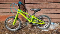 Kids 20" bike