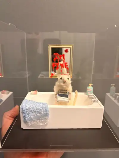 Real taxidermy mouse. I also take custom orders. You can check out my work and see the popularity th...