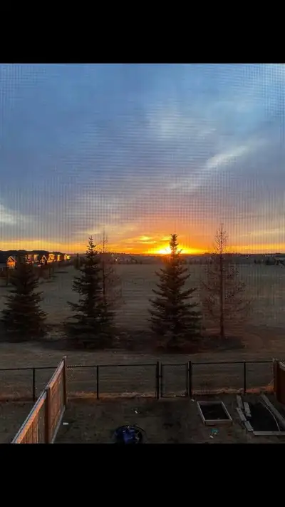 Room for Rent in Leduc – Great Location! Looking for a chill, respectful roommate to share a cozy du...