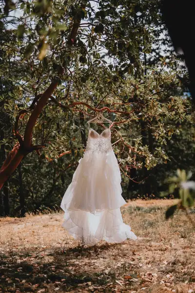 Wedding Dress, View more