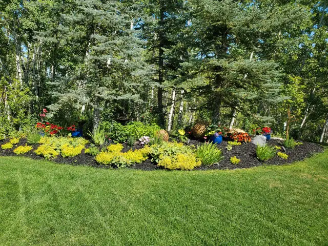 Landscape Construction Projects - SOD, FENCES, RETAINING WALLS63234498634115124