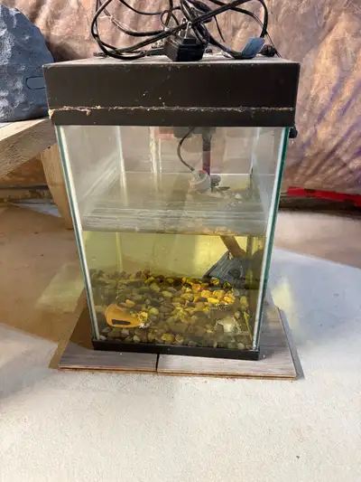 Aquarium, View more