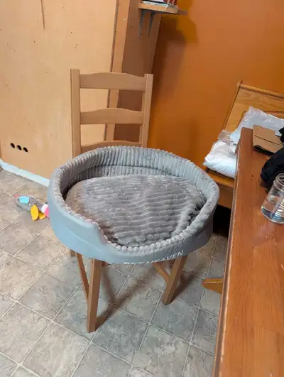 Pet bed and dishes. Brand new. Never used. Good for small dogs or cats.