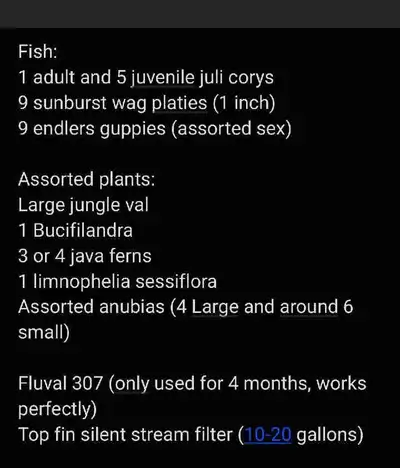 Fish, plants and filters, View more