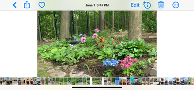 Fully furnished 2-bedroom apartment, View more