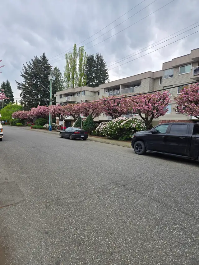 UPDATED APARTMENT FOR RENT