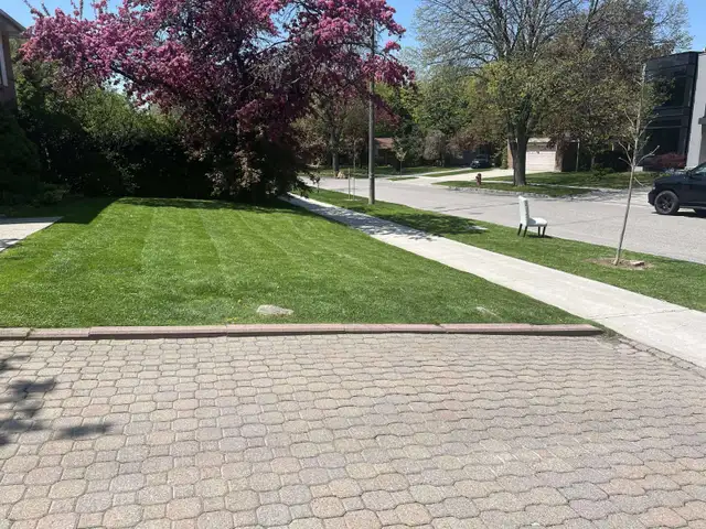 Grass cutting/ lawn mowing service63235119944833121