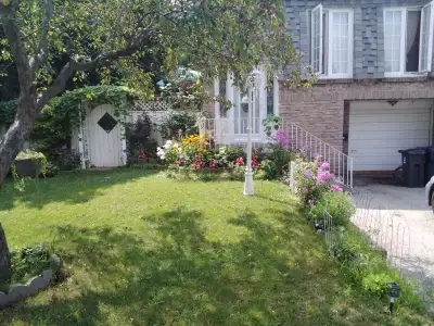 Basement furnished private room for rent in Scarborough