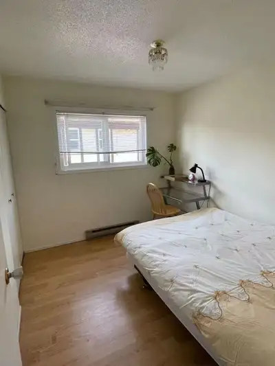 Close to Uvic ; Camsun college and markets . house is in a quiet area close to 27,28,14.Bus stop. th...