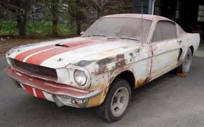 My 8 year old son has taken a liking to old cars and trucks and has asked me to find an old muscle c...