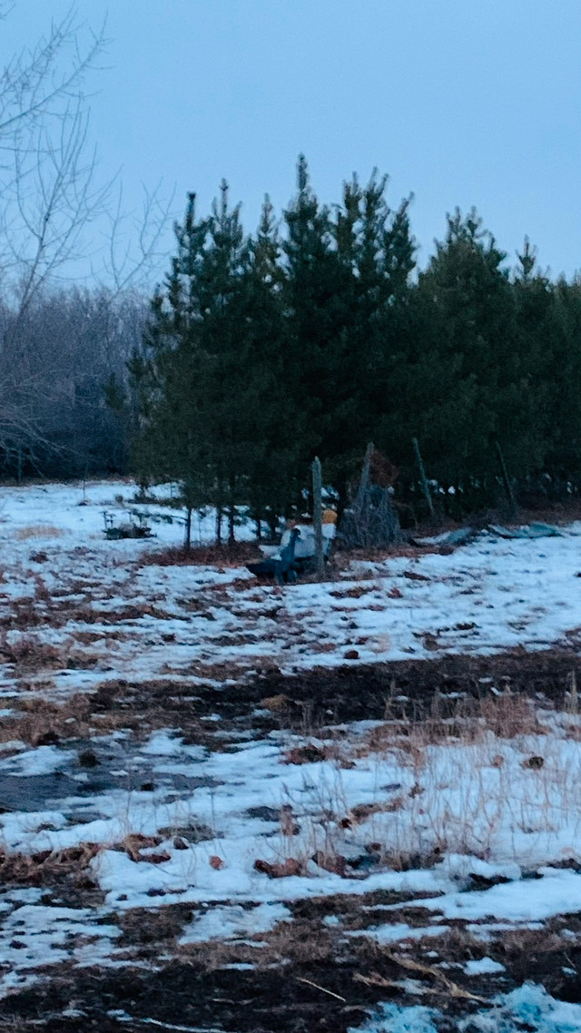 Acreage for Sale in the Rm of Vanscoy Land for Sale Saskatoon Kijiji