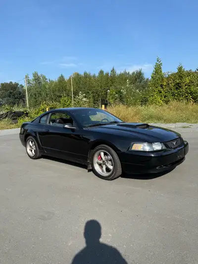 2001 Bullitt Edition Mustang All original no modifications Clean BC title 4.6L V8 5-Speed Manual wit...