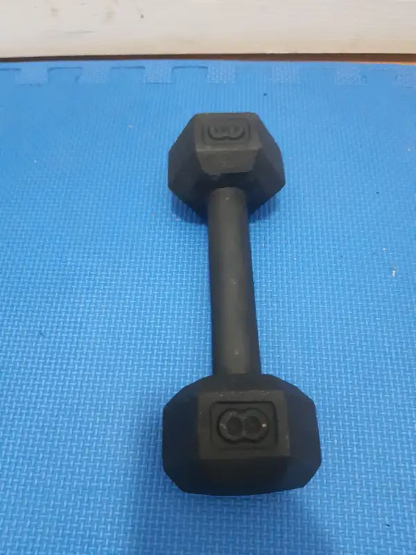dumbbells in Exercise Equipment in Delta/Surrey/Langley - Image 6