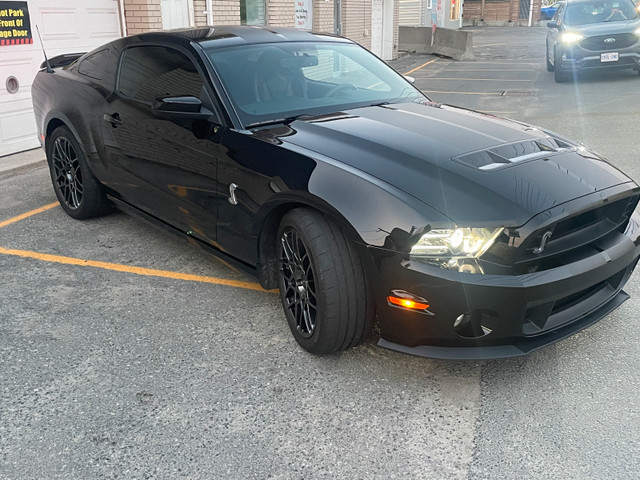 2014 Shelby GT500 in Cars & Trucks in Sudbury