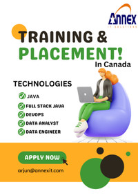 IT Staffing - Placements