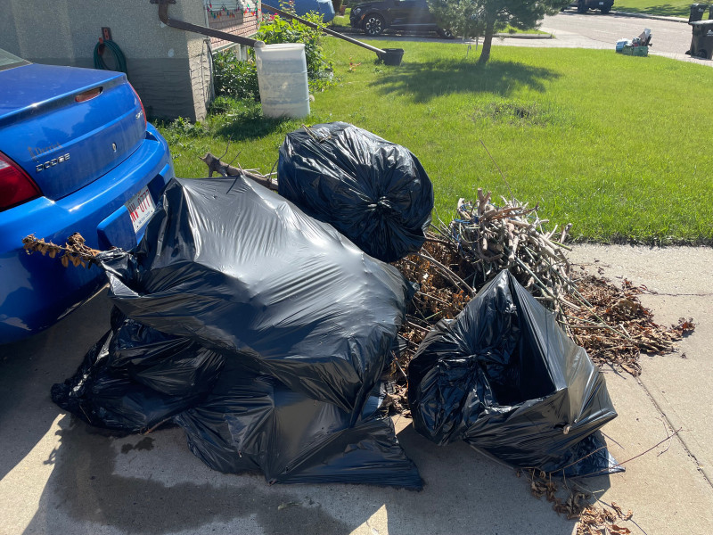 FAST AND CHEAP JUNK REMOVAL RATES!!’n Cleaners & Cleaning Edmonton Kijiji