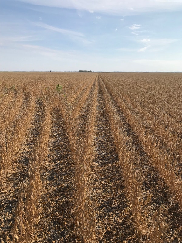 Canola Planter 48r20 on tracks for sale Farming Equipment Winnipeg