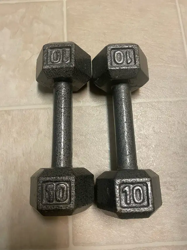 10lb dumbbell set in Exercise Equipment in Kelowna - Image 2