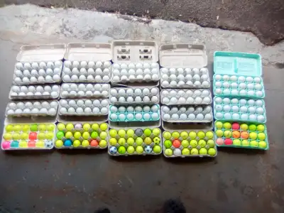 Used Golf Balls $6, View more