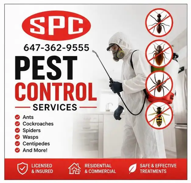 Pest Control Services | Mice, Ants, Cockroaches | Free Quote