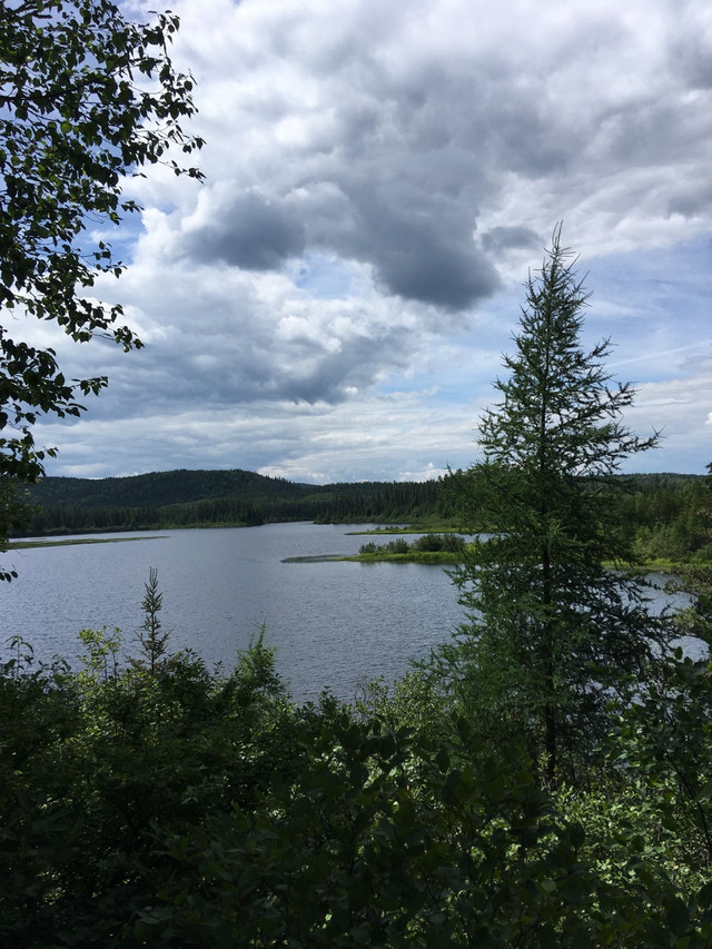 Camp de chasse dans Terrains à vendre  à Shawinigan