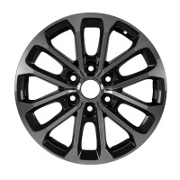 WTB Factory 18" F150 Wheels