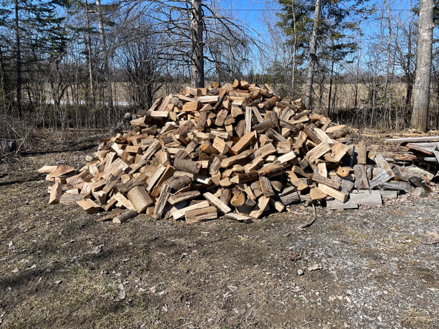 Firewood in Other in Ottawa - Image 3